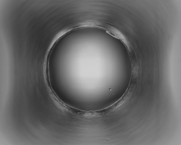 X0000111391146200907101141