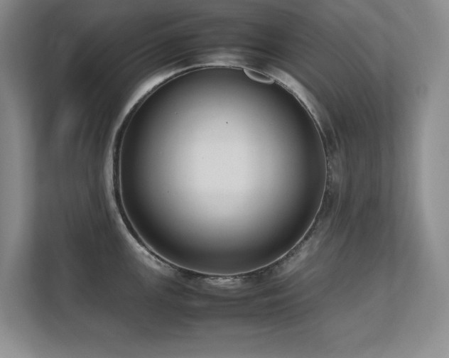 X0000111391147200907101141