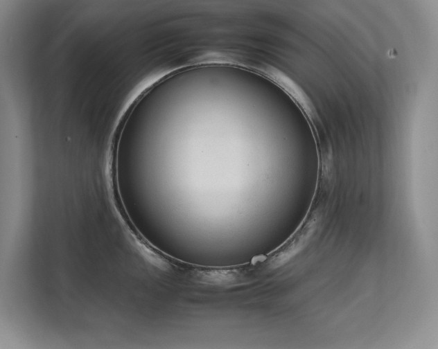 X0000111391149200907101141