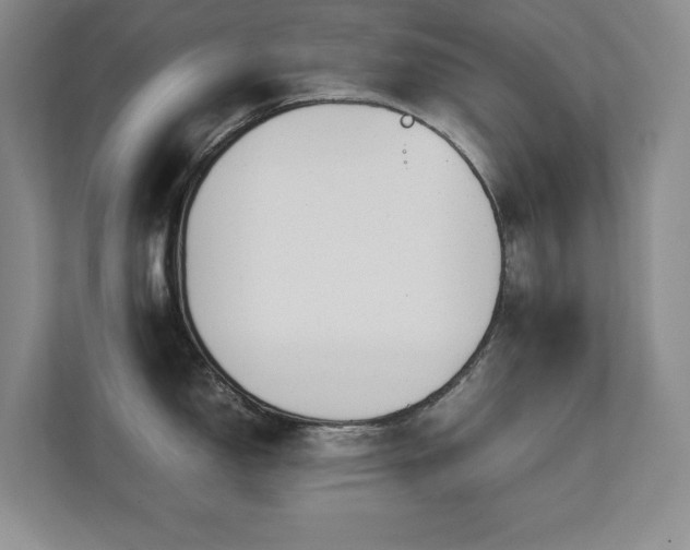 X0000111391150200907101141