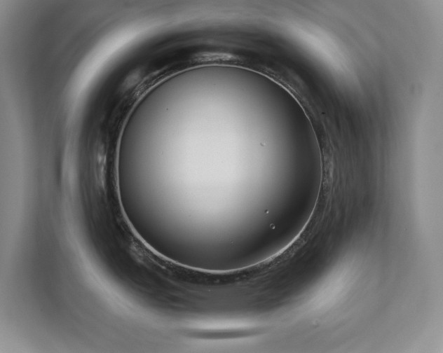 X0000111391151200907101141