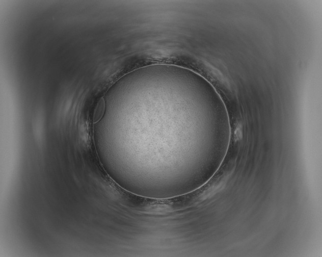 X0000111391156200907101140