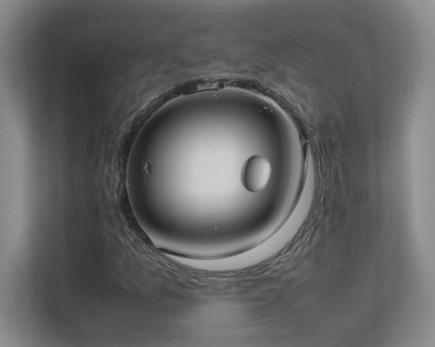 X0000111391157200907101140