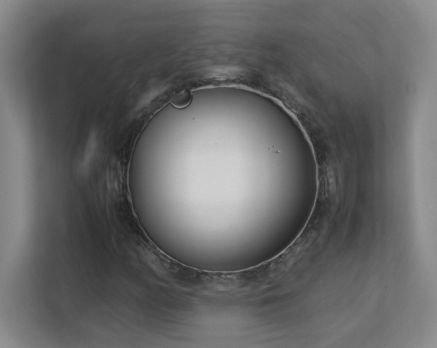 X0000111391158200907101140