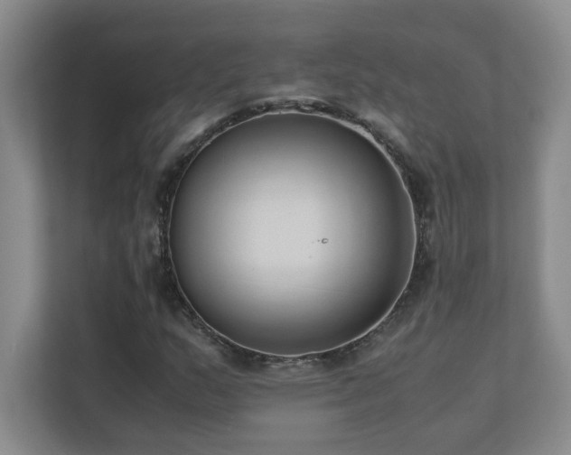 X0000111391159200907101140