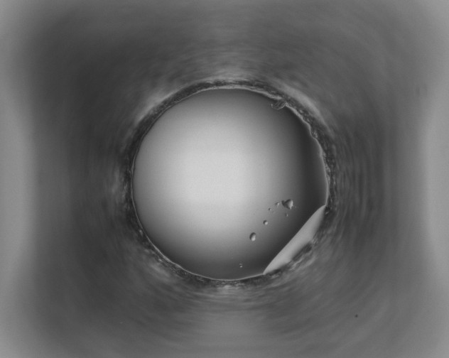 X0000111391160200907101140