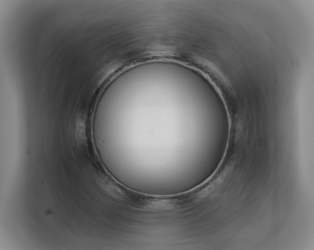 X0000111391162200907101140