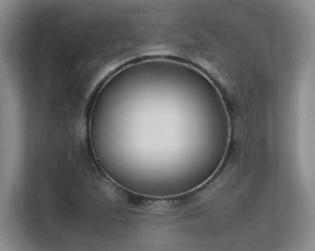 X0000111391167200907101140