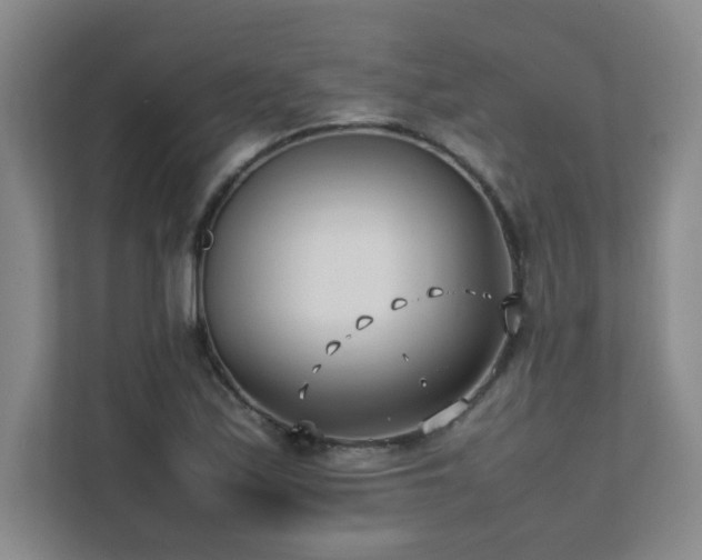 X0000111391171200907101140