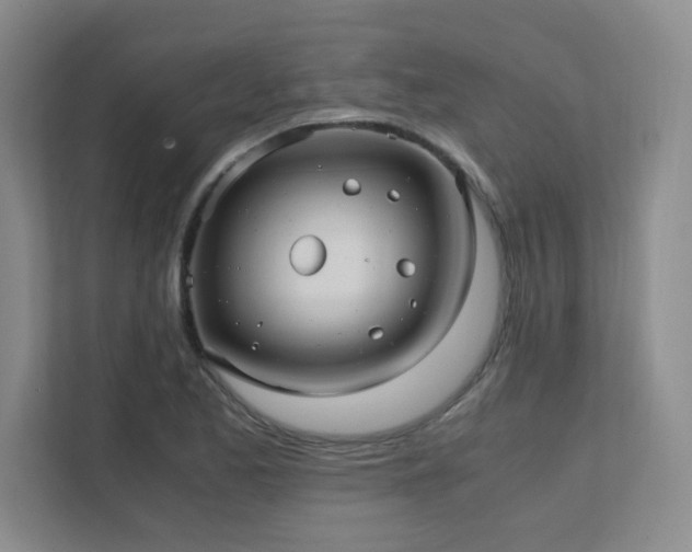 X0000111391173200907101140