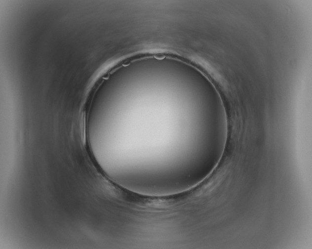 X0000111391175200907101140