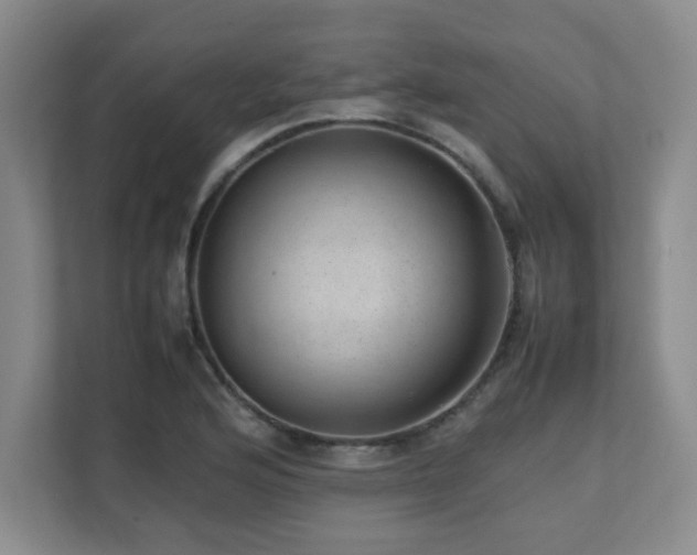 X0000111391176200907101140