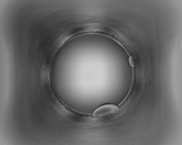 X0000111391177200907101140