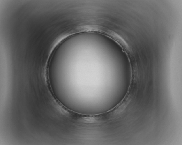 X0000111391182200907101140