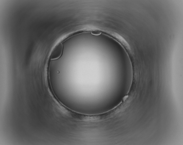 X0000111391183200907101140