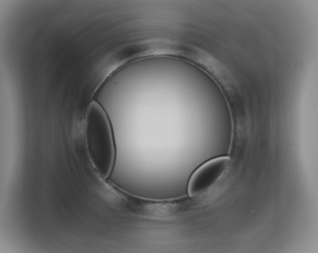 X0000111391185200907101140
