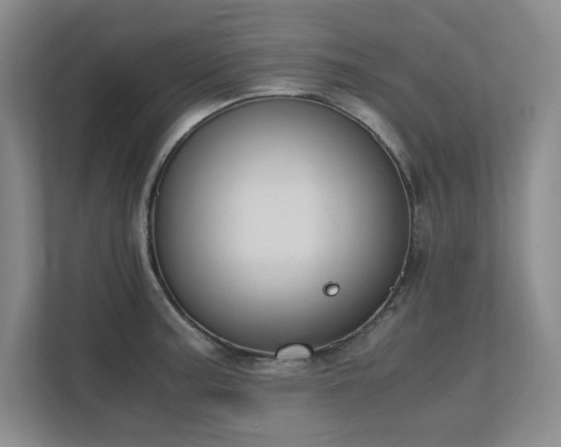 X0000111391187200907101140