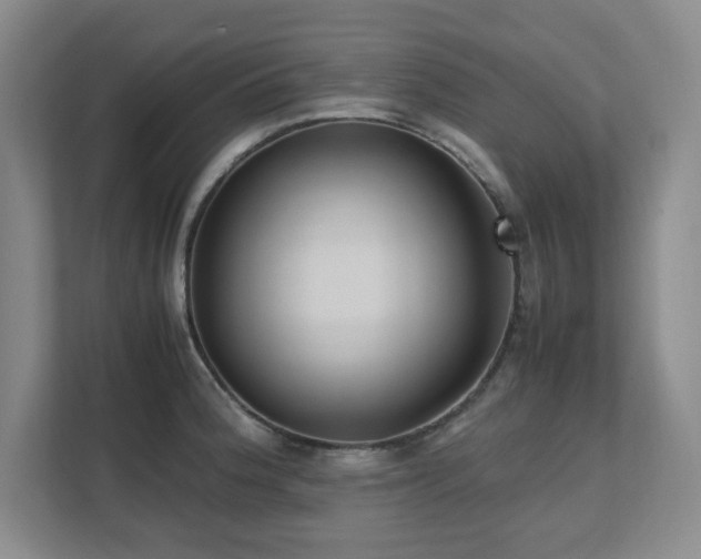 X0000111391188200907101140