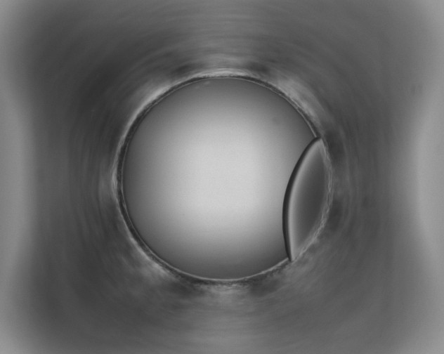 X0000111391189200907101140