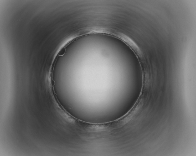X0000111391190200907101140