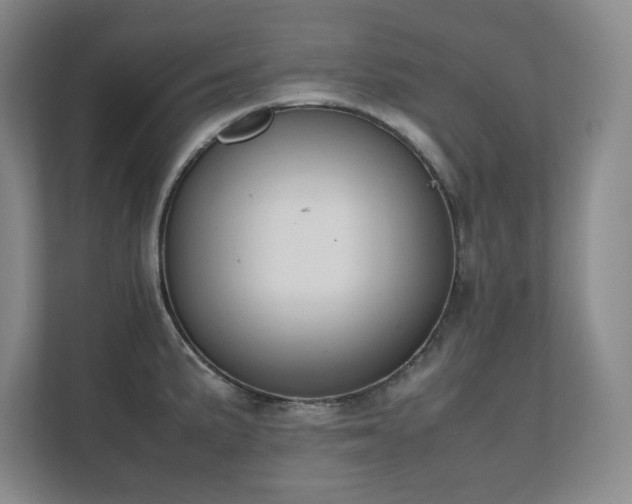 X0000111391191200907101140