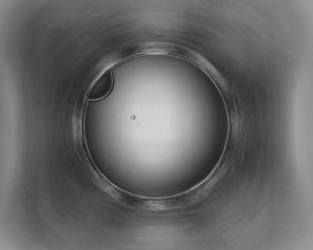 X0000111391194200907101140