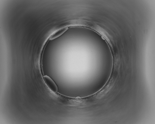 X0000111391197200907101140