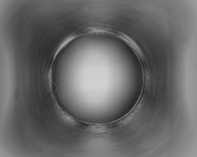 X0000111391198200907101140
