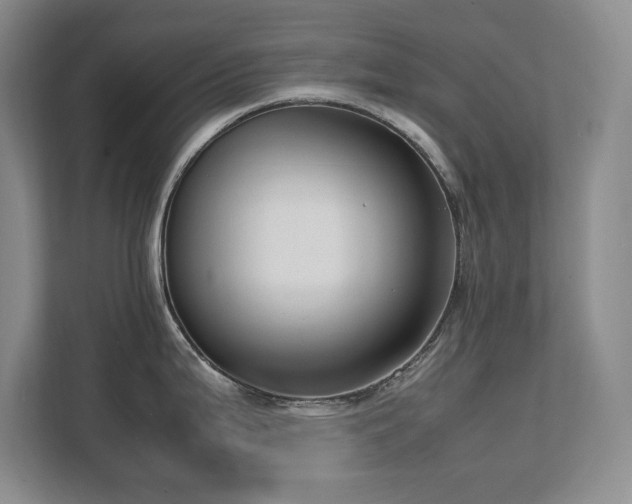 X0000111391199200907101140