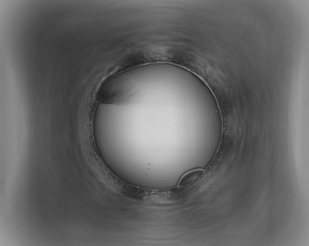 X0000111391201200907101139
