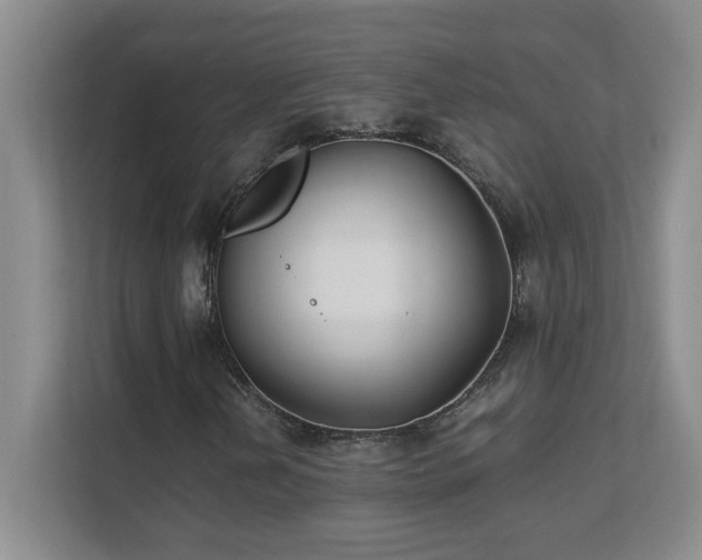 X0000111391202200907101139