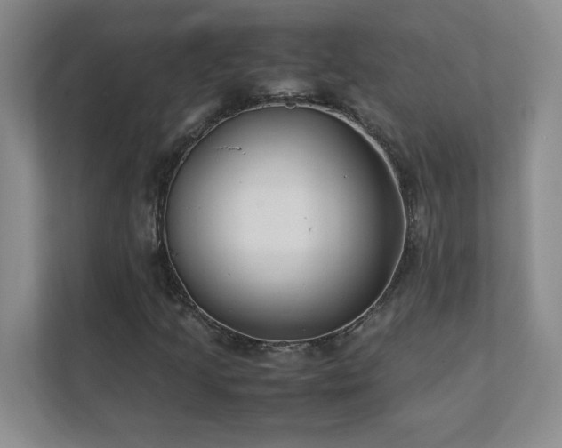 X0000111391205200907101139