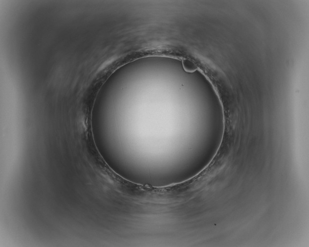 X0000111391206200907101139
