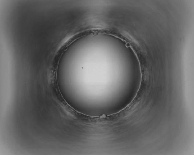 X0000111391208200907101139