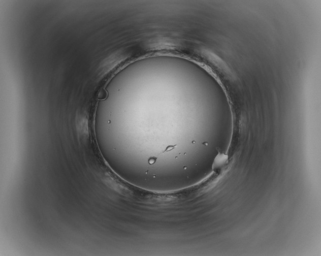 X0000111391209200907101139