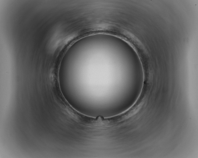 X0000111391210200907101139