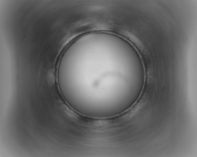 X0000111391212200907101139