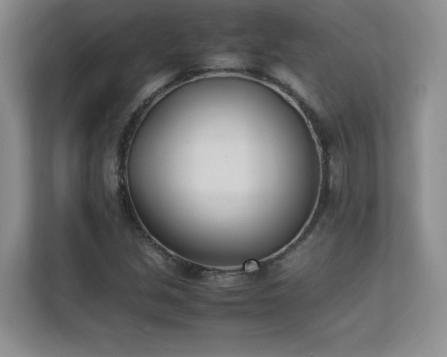 X0000111391213200907101139