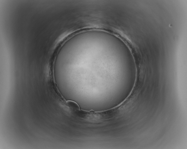 X0000111391215200907101139