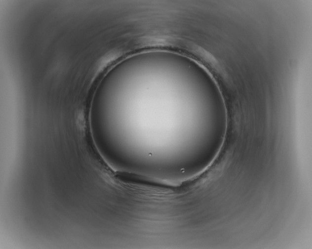 X0000111391218200907101139