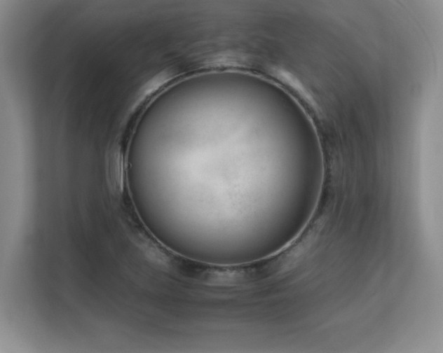 X0000111391219200907101139