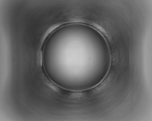 X0000111391223200907101139