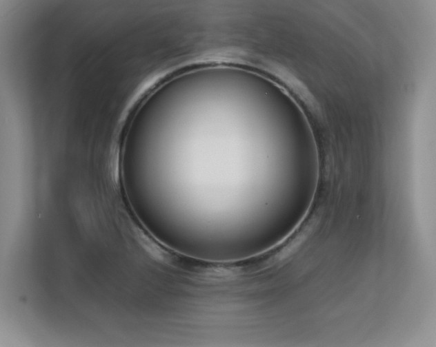 X0000111391224200907101139