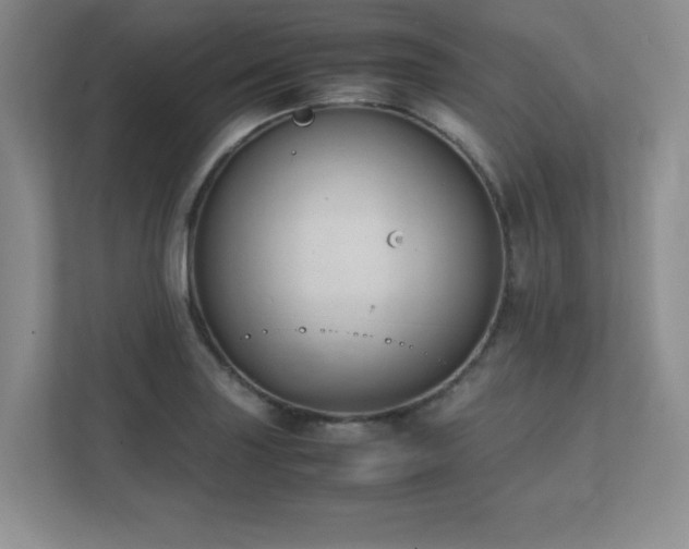X0000111391227200907101139