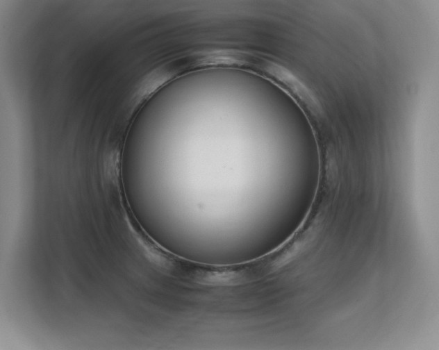 X0000111391233200907101139