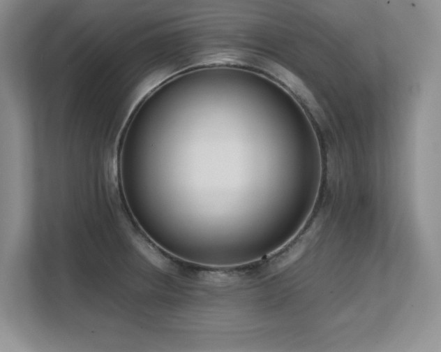 X0000111391234200907101140