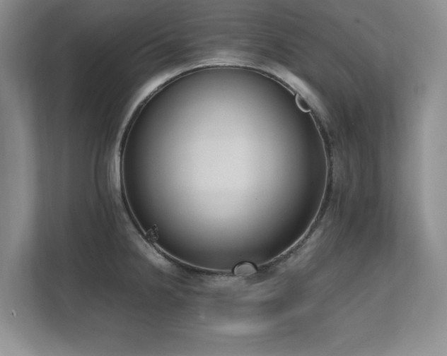 X0000111391238200907101140