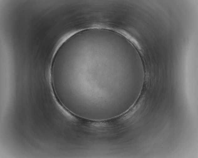 X0000111391239200907101140
