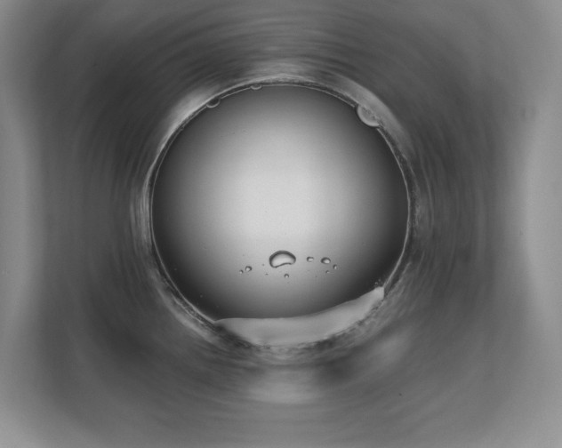X0000111391242200907101140