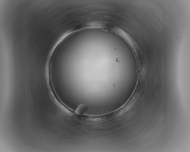 X0000111391243200907101140